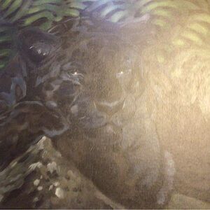 Panther Art Print/ Amandas artwork